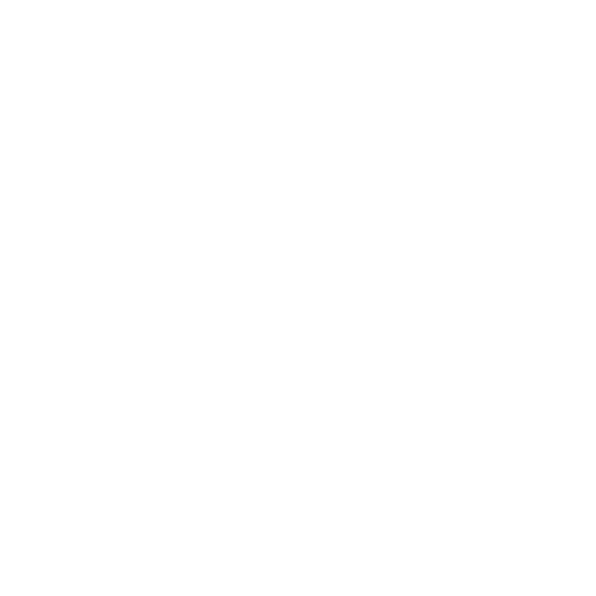 NINTCH